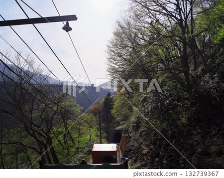 Spring on the Tateyama Kurobe Alpine Route, surrounded by deep greenery, seen from inside the Tateyama Cable Car's outbound line Spring on the Tateyama Kurobe Alpine Route, surrounded by deep greenery, seen from inside the Tateyama Cable Car's outbound line 132739367