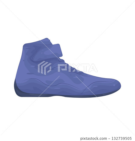 Illustration of shoes 132739505