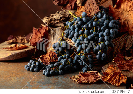 Blue grapes dry bunch and dried up vine leaves. 132739667