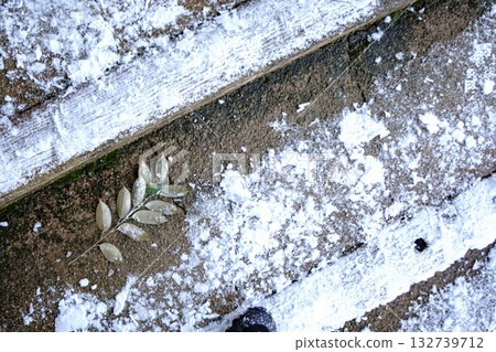 雪地和落葉的細節 132739712