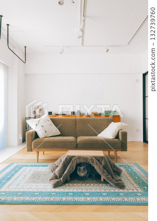 A cat sitting in a kotatsu table 132739760