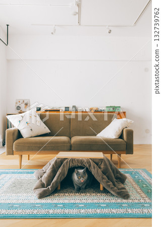 一隻貓坐在暖桌裡 132739762