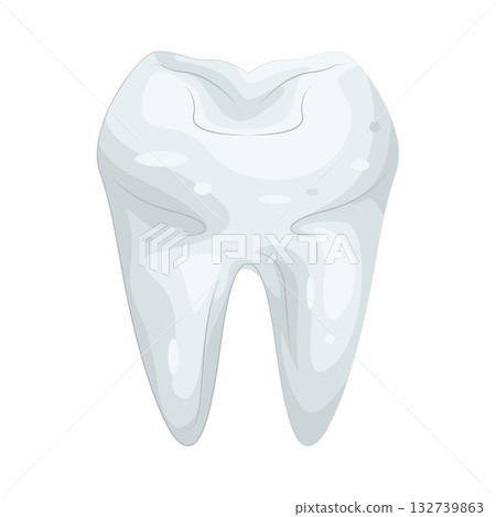 Illustration of tooth Illustration of tooth 132739863