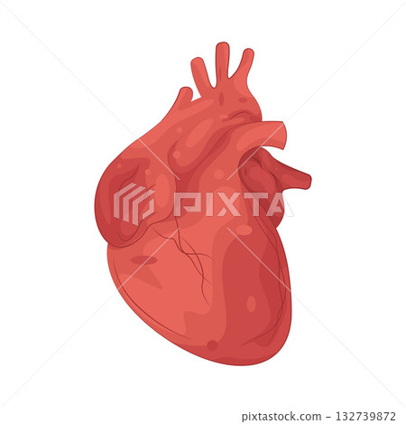 Illustration of human heart 132739872