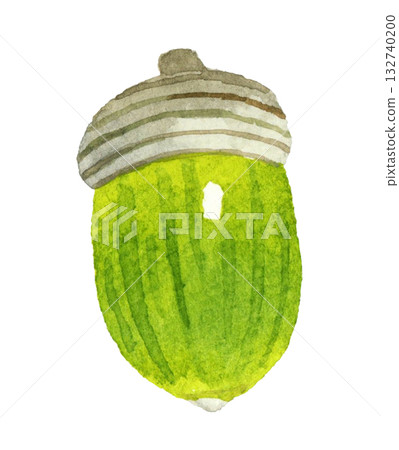 Green acorn with a hat (single item) Hand-painted watercolor illustration of autumn plants 132740200