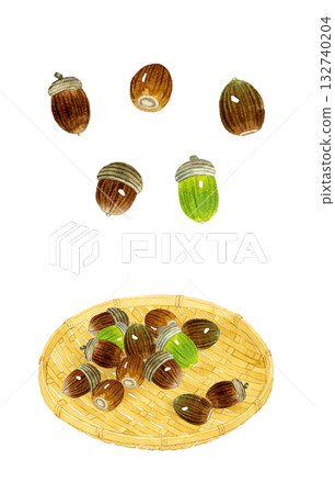橡實套裝 - 手繪水彩秋季植物插圖 橡實套裝 - 手繪水彩秋季植物插圖 132740204