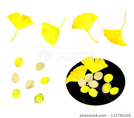 Set of ginkgo nuts and ginkgo leaves. Hand-drawn watercolor illustration of autumn plants. 132740208