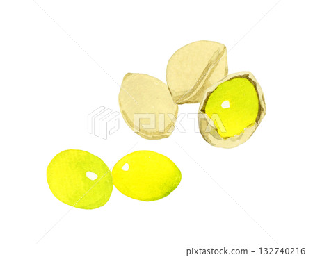 Ginkgo fruit set - Hand-drawn watercolor illustrations of autumn plants 132740216