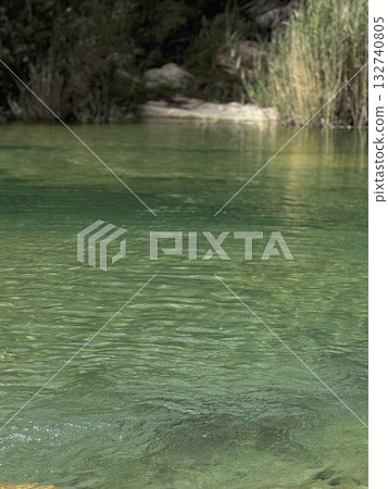 Serene Natural Pond with Clear Green Water 132740805