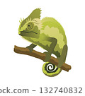 Chameleon lizard. Reptiles with curved tail and camouflage skin, tropical wildlife. Vector exotic animal illustration 132740832