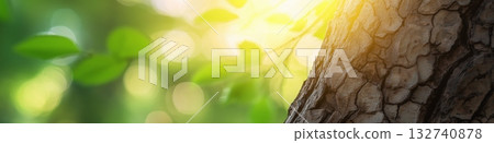 Tree bark texture with sun illuminating forest background 132740878