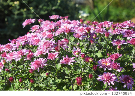 Gigantic Gigantic 132740954