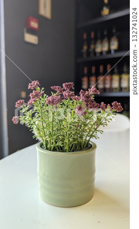 Beautifully Charming Potted Flowers Displayed on a Table for Elegant Aesthetic Appeal Beautifully Charming Potted Flowers Displayed on a Table for Elegant Aesthetic Appeal 132741024