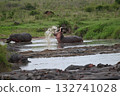 Jeep Safari in Tanzania to see hippos 132741028