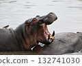 Jeep Safari in Tanzania to see hippos 132741030
