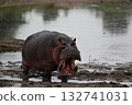 Jeep Safari in Tanzania to see hippos 132741031