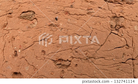 Textured Brown Surface Featuring Cracks and Insights into the Natural Landscape Around Us Textured Brown Surface Featuring Cracks and Insights into the Natural Landscape Around Us 132741114
