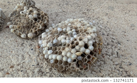An Incredibly Unique Closeup of the Natural Honeycomb Structures Found in a Desert Environment An Incredibly Unique Closeup of the Natural Honeycomb Structures Found in a Desert Environment 132741171