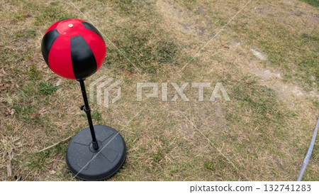 Training Equipment designed specifically for enhancing Fitness and Coordination skills 132741283