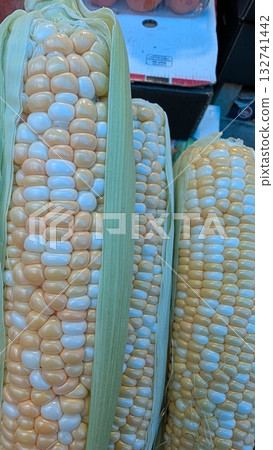 A Wide Selection of Fresh Corn on the Cob Available for Tasty Preparation and Enjoyment 132741442