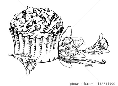 Vector ink cupcake with chocolate frosting, muffin in paper liner topped with cocoa nibs, vanilla blossoms, seed pods. Isolated hand drawn element. Sweet menu, packaging, blog illustration graphics. 132741590