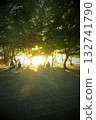 Enjoy some chill time while basking in the sunlight filtering through the trees 132741790