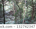 森林 132742347