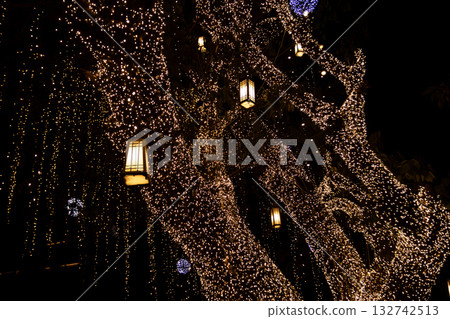 Decorative outdoor string lights hanging on tree in the garden at night time - decorative Christmas lights - happy new year Decorative outdoor string lights hanging on tree in the garden at night time - decorative Christmas lights - happy new year 132742513
