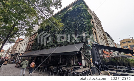 A building covered with leaves in the touristic area in Antwerp 132742575