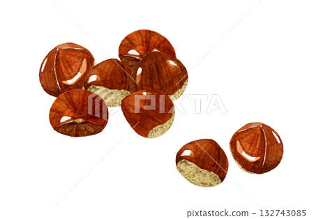 Chestnut set - Hand-drawn watercolor illustrations of autumn plants Chestnut set - Hand-drawn watercolor illustrations of autumn plants 132743085