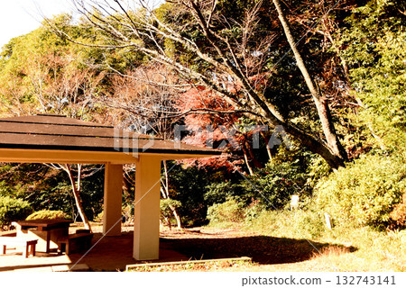 源氏聖公園 源氏聖公園 132743141