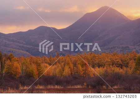 Golden Screen of Odashirogahara 132743203