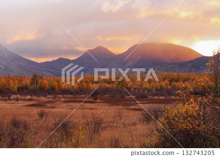 Golden Screen of Odashirogahara 132743205