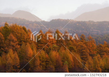 Golden Screen of Odashirogahara Golden Screen of Odashirogahara 132743218