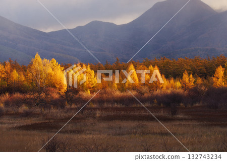 Golden Screen of Odashirogahara 132743234