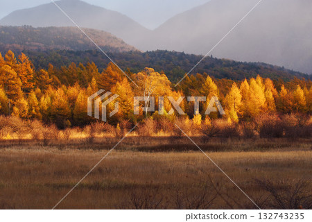 Golden Screen of Odashirogahara 132743235