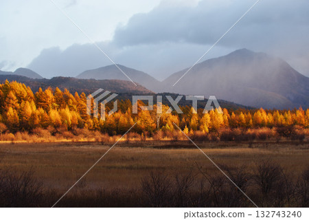 Golden Screen of Odashirogahara 132743240