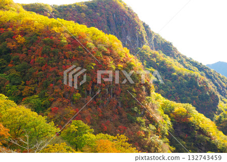 Autumn leaves on Irohazaka Autumn leaves on Irohazaka 132743459