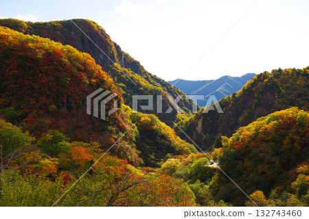 Autumn leaves on Irohazaka 132743460
