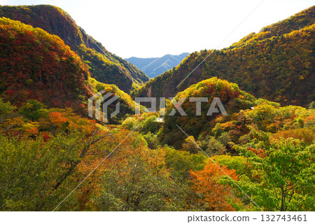 Autumn leaves on Irohazaka 132743461