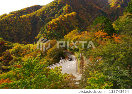 Autumn leaves on Irohazaka 132743464