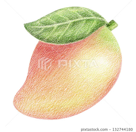 Colored pencil and watercolor mango, tropical fruit illustration Colored pencil and watercolor mango, tropical fruit illustration 132744180