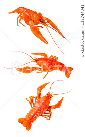 set of crayfish boiled red, isolated on white background set of crayfish boiled red, isolated on white background 132744341