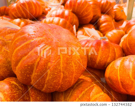 A wonderful collection of ripe pumpkins for Halloween and as a harvest. A wonderful collection of ripe pumpkins for Halloween and as a harvest. 132744382