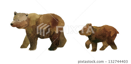 Walking brown bear parent and child (set) Hand-drawn watercolor illustration 132744403