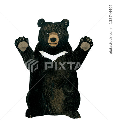 Standing up Asiatic black bear (front) Hand-drawn watercolor illustration 132744405