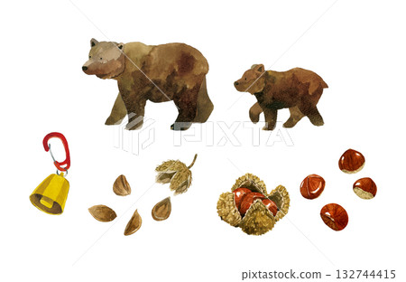 一組棕熊、熊愛吃的堅果和驅熊鈴鐺。手繪水彩插圖。 132744415