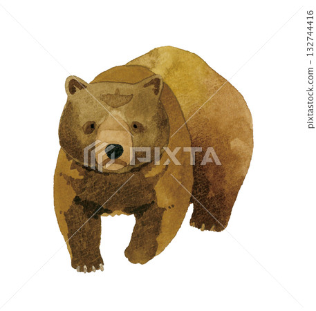行走中的棕熊（熊）手繪水彩插圖 132744416