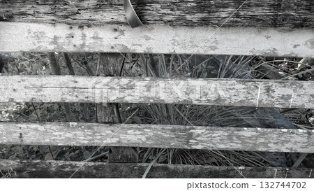 The old wooden fence in front of the garden, set against a black and white background The old wooden fence in front of the garden, set against a black and white background 132744702