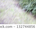 Oblique blurring of bushes and grass. 132744856